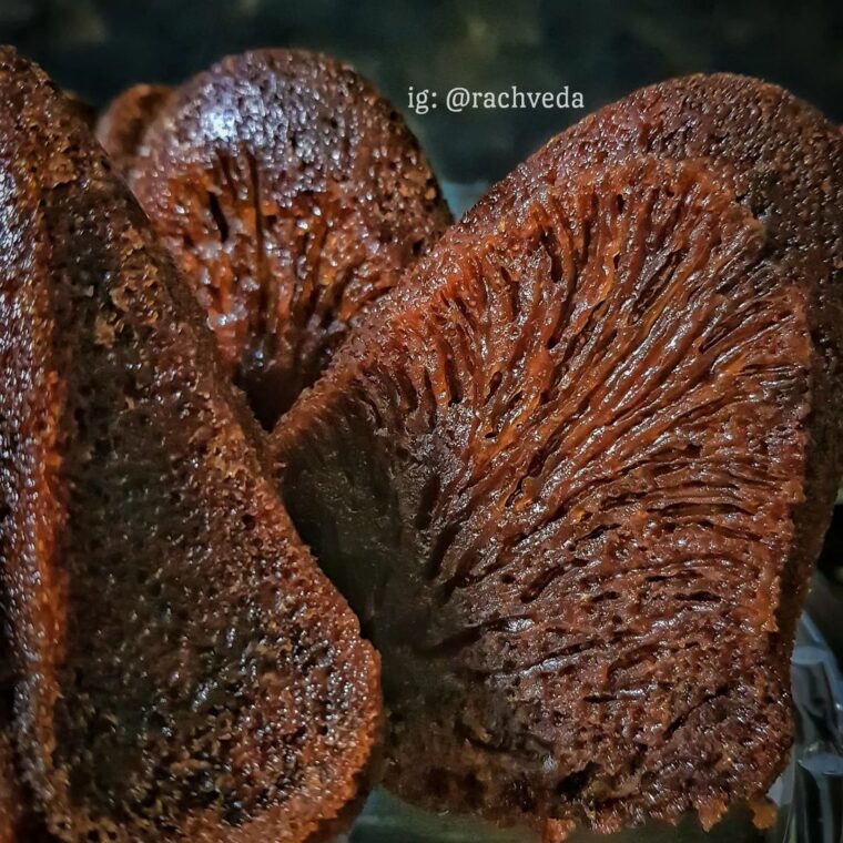 Resep Bolu Karamel Sarang Semut Dari rachveda