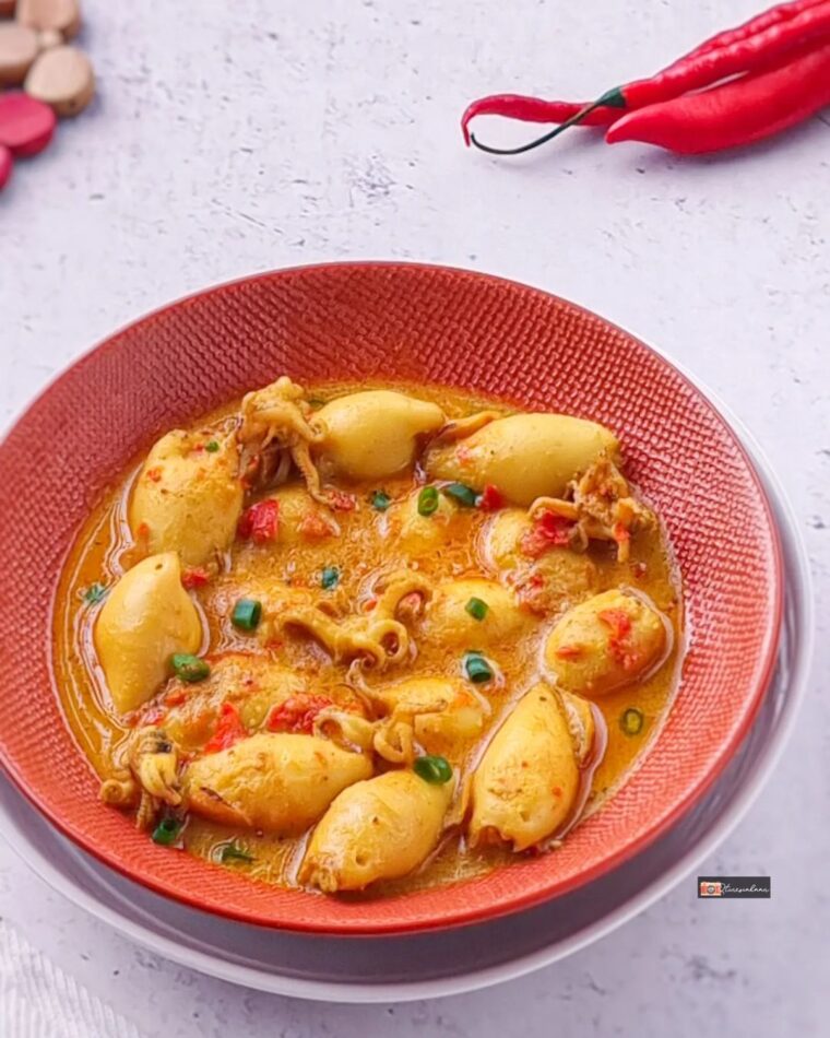 Resep Gulai Cumi Bunting Dari qiutin.kitchen