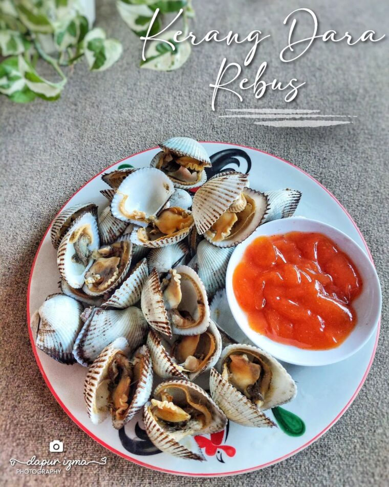Resep Kerang Dara Rebus Dari dapur_izma