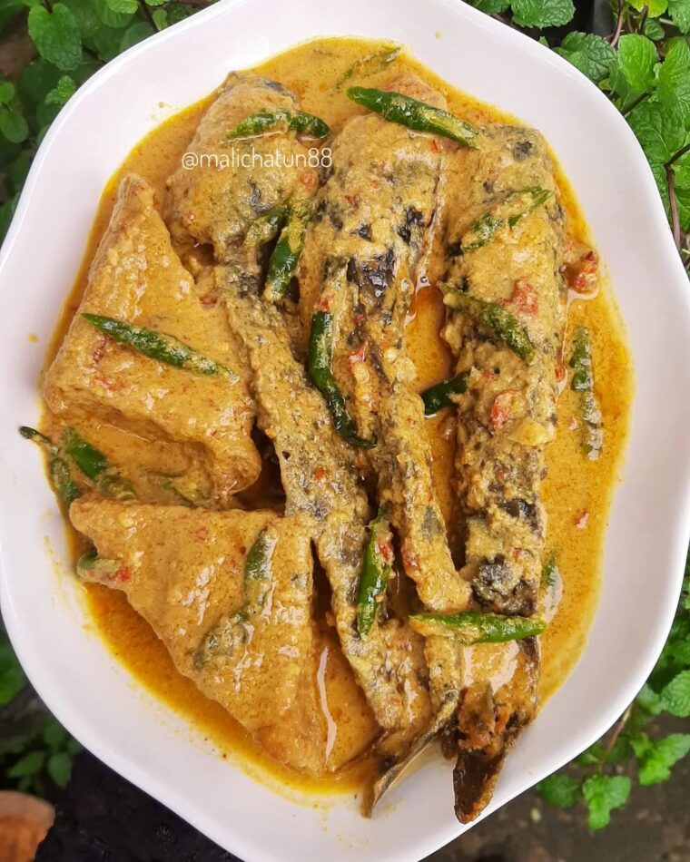 Resep Mangut Ikan Lele Tahu Kulit Dari malichatun88