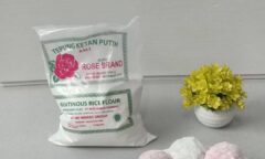 Resep Mochi Dari birgittawang_