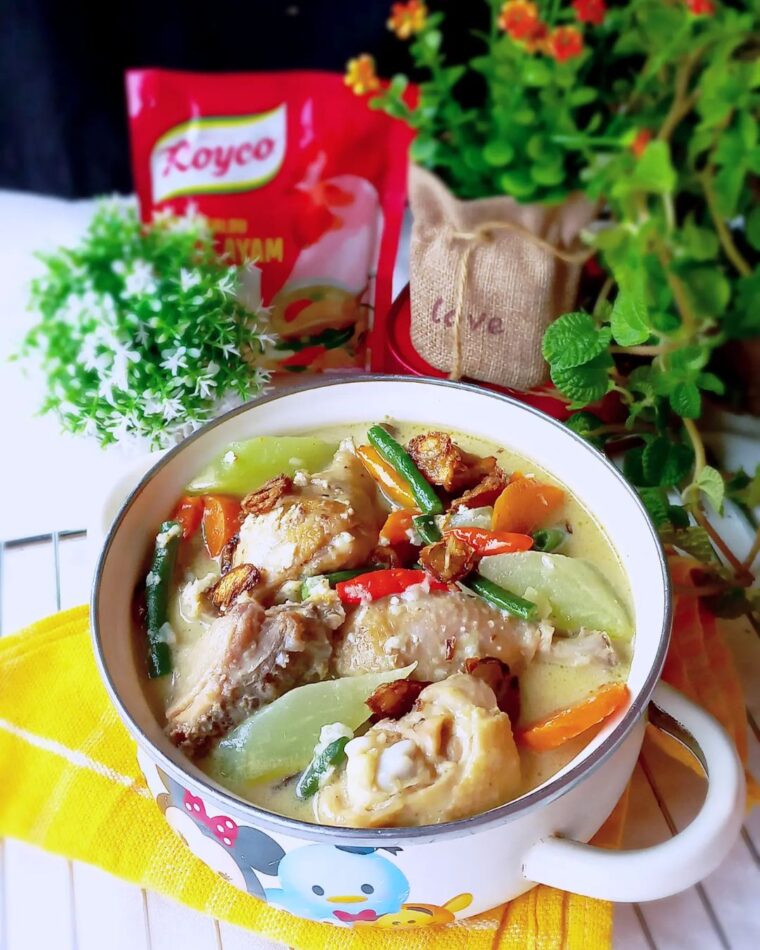 Resep Opor Ayam Sayur Dari mama_aurel_aerilyn