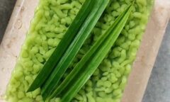 Resep Pudding Cendol Dari tyasprabowo