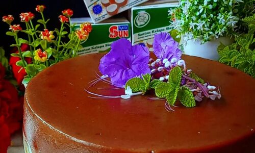 Puding Brownies Lapis Lumut