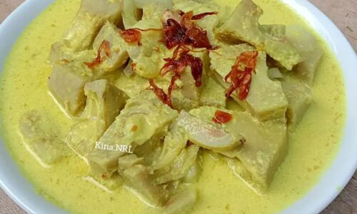 Gulai Nangka Muda - Masakan dari Nangka