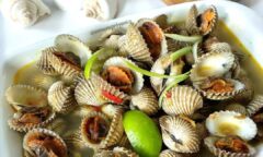 Resep Kuah Kerang Darah Dari annasupriyanto