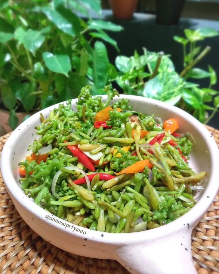 Resep Oseng-oseng Bunga Pepaya Dari annasupriyanto