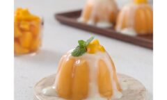 Resep Puding Yoghurt Mangga Dari orincookies