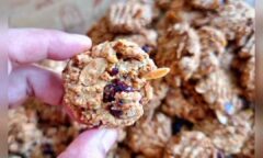Resep Crunchy Oatmeal Cookies Dari plasa.cake