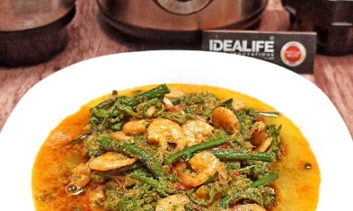 Gulai Pakis Udang - Masakan dari Pakis
