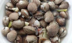 Resep Kerang Masak Sereh Dari dita_dwistyani