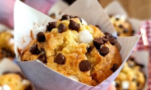 Basic Fluffy Muffins