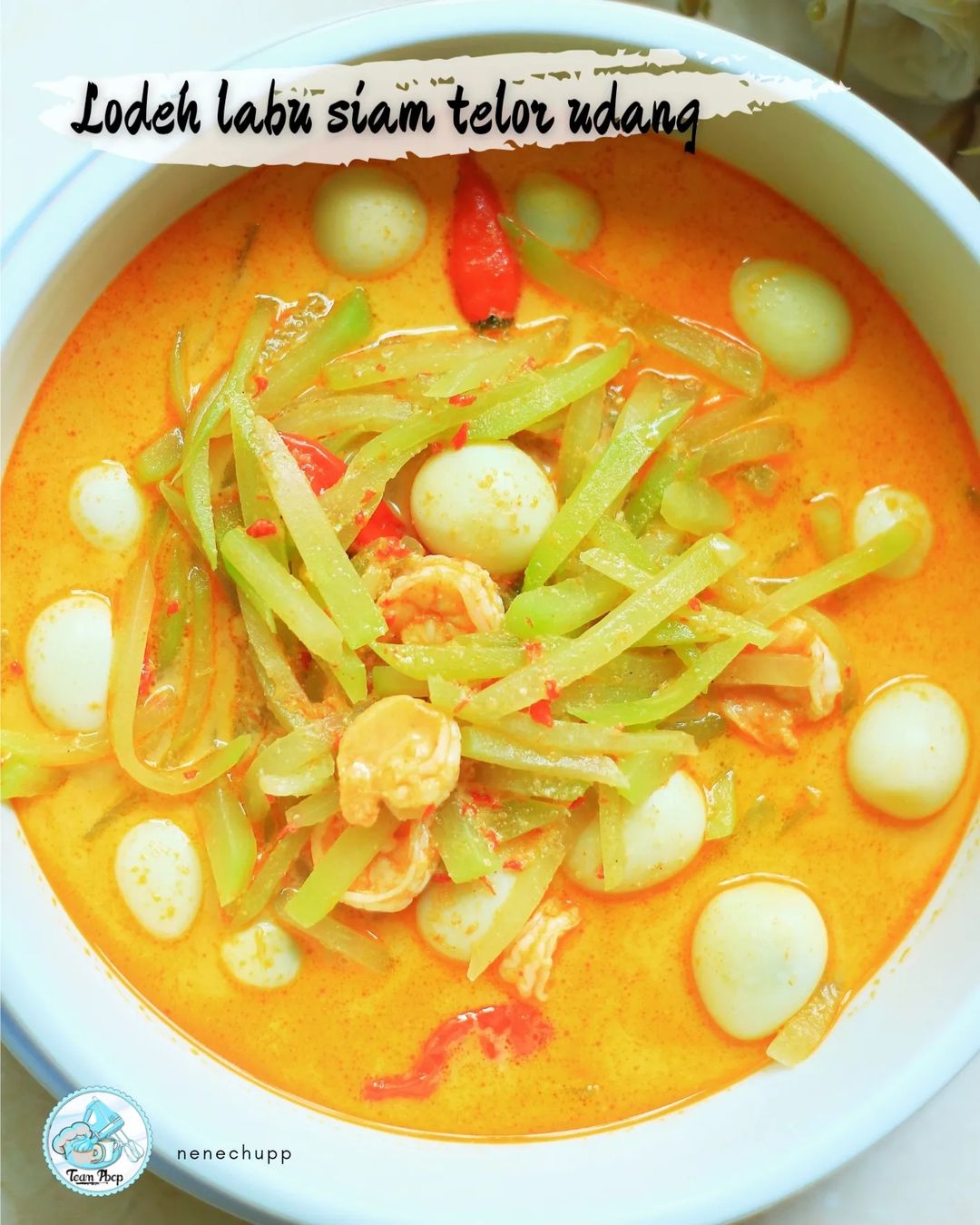 Resep Lodeh Labu Siam Telor Udang Dari Nenechupp