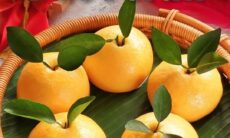 Resep Bapao Jeruk Dari christinsetiorini