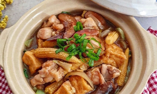 Braised Chicken And Tofu