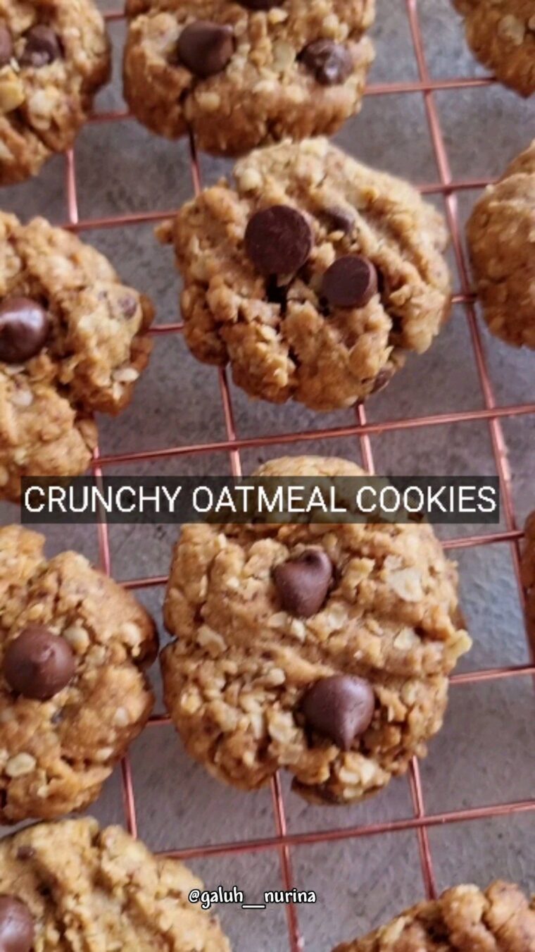 Resep Crunchy Oatmeal Cookies Dari galuh_nurina