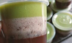 Resep Puding Alpukat Dari aguswatis