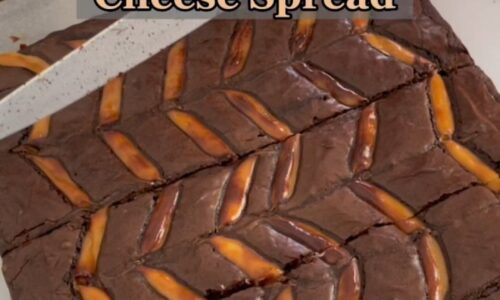 Brownies Cheese Spread - Kue dari Keju