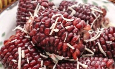 Jagung Rebus Susu Rice Cooker - Camilan dari Jagung