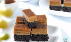 Resep Katirisala Dari evhyhandayani2